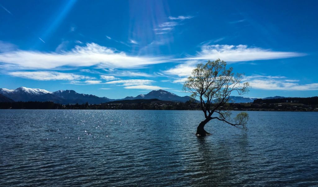 【ワナカ観光】ニュージーランド・ワナカ湖への行き方と現地 ...