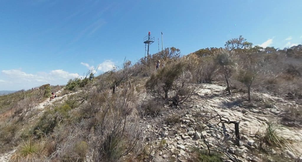 【サンシャインコースト】マウントクーラムへの行き方と登山道解説 オレンジ日誌